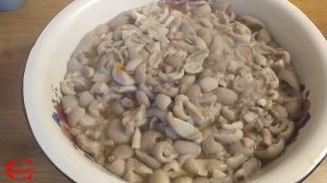 МАРИНОВАННЫЕ МАСЛЯТА В АВТОКЛАВЕ, ВЫП.18