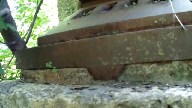 Зачем нужен Железнодорожный мост Алешки Воронежская область 7 часть смотреть онлайн