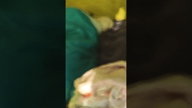 Крепкий сон на природе. #медведь #лес #палатка #рыбалка смотреть онлайн