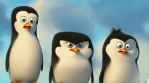 ПИНГВИНЫ МАДАДАСКАР (анти версия )