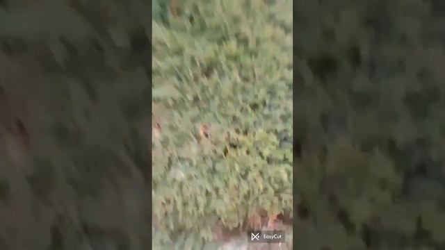 АНЮТИНЫ ГлазКИ (Muztok.net) смотреть онлайн