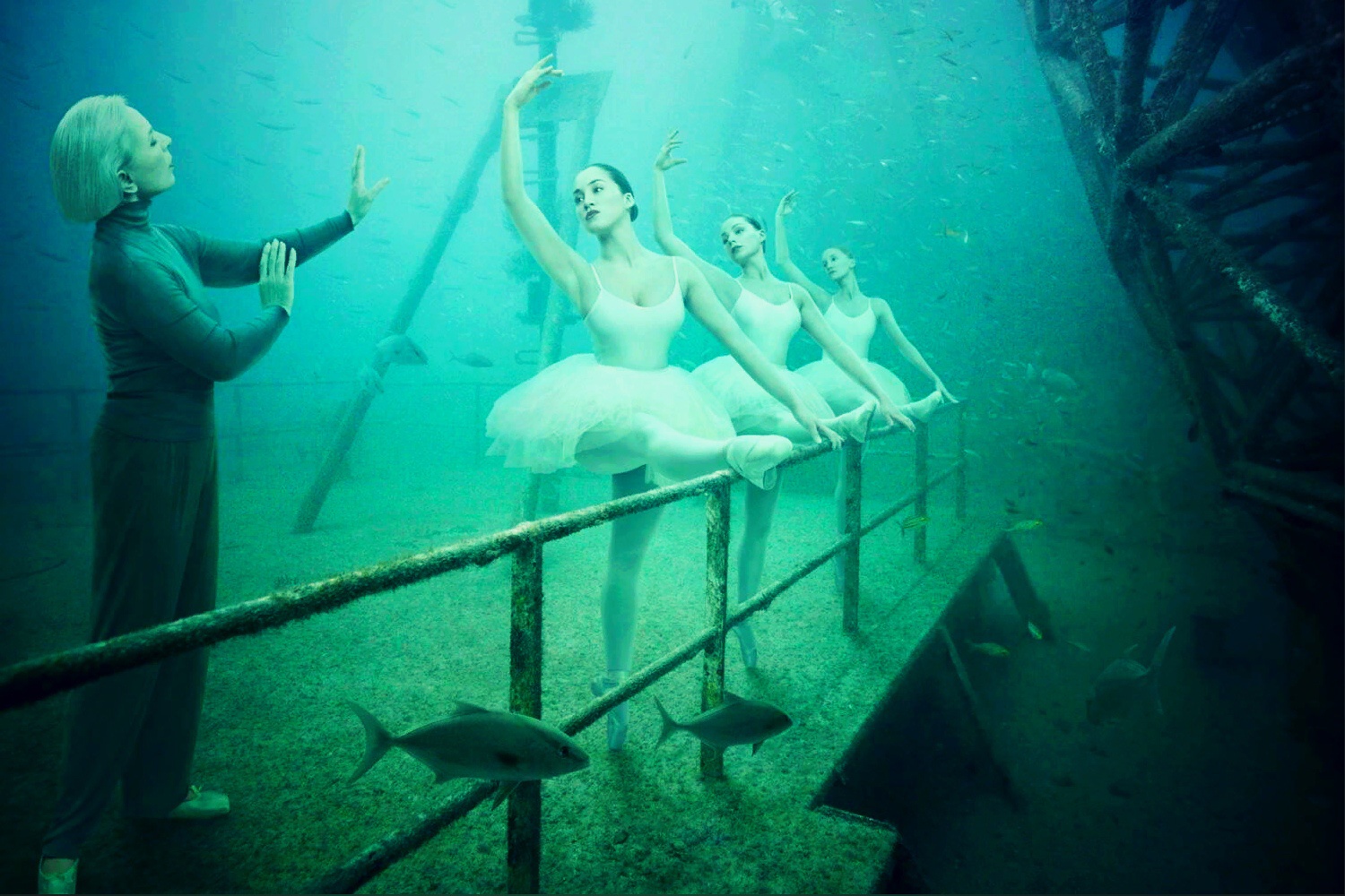 Воды раньше времени. Андреас Франке подводная выставка. Андреа Вандерберг. Андреас Франке мир под водой. Невероятная подводная Фотогалерея Андреаса Франке..