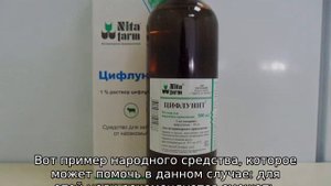 Чем обработать корову от оводов и слепней в домашних условиях