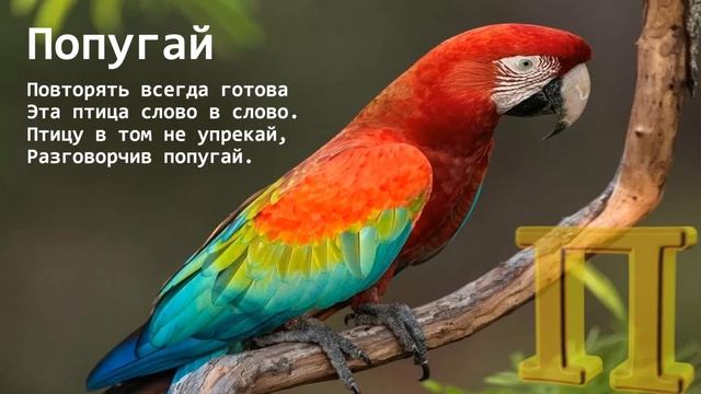 ПТИЦЫ от А до Я для детей! (в стихах) смотреть онлайн