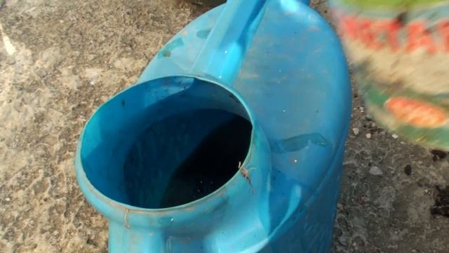 ТОМАТЫ ПОДКОРМКА  В АВГУСТЕ  ПОДКОРМКА ТОМАТОВ ДЛЯ СУПЕР УРОЖАЯ ПОДКОРМКА ВО ВРЕМЯ ПЛОДОНОШЕНИЯ