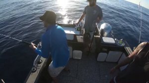 Port Fairy Tuna January 2018