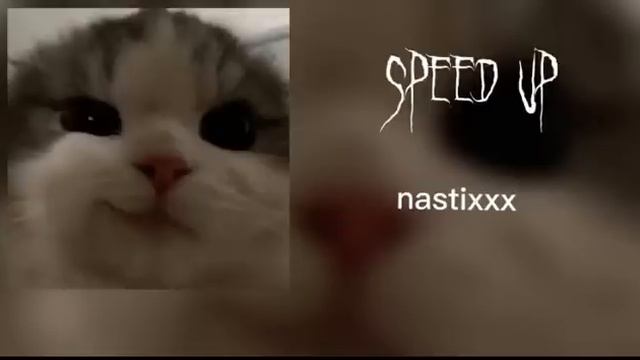 БРОДЯГА(speed up)