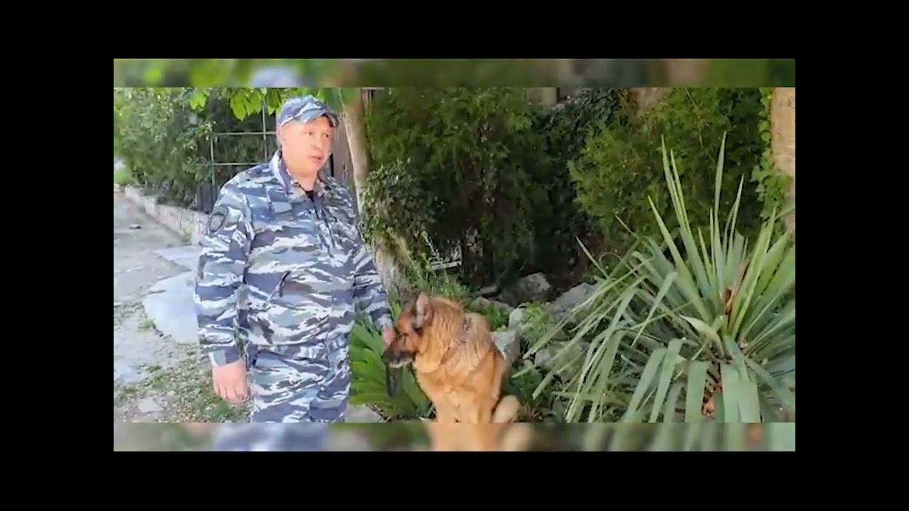 Служебная собака помогла найти пропавших детей в Крыму