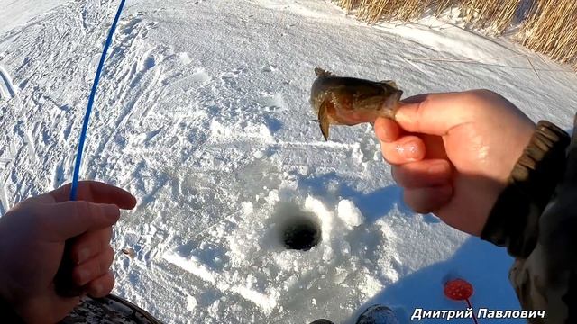 ВОТ И ДОЖДАЛИСЬ!!! НАКОНЕЦ-ТО ПЕРВЫЙ ЛЁД!!! НАКИДАЛ ГОЛОВЁШЕК И ДОМОЙ. Зимняя рыбалка на ротана