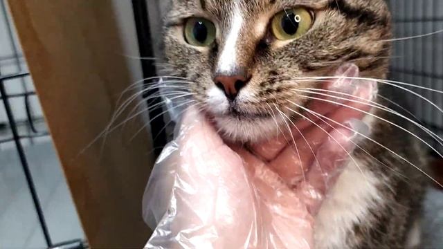 Бусинка смотреть онлайн