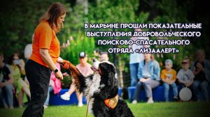 Показательные выступления добровольческого поисково-спасательного отряда «ЛизаАлерт» в Марьине