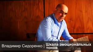 Шкала эмоциональных тонов | Владимир Сидоренко
