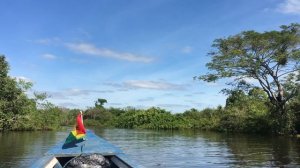 Самый удобный способ осмотра джунглей -это на мотоканоэ.Боливия.Пампасы.Июнь2018