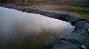 Пруд своими руками. Защита плёнки.