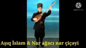 Asiq İslam & Nar ağacı nar çiçəyi