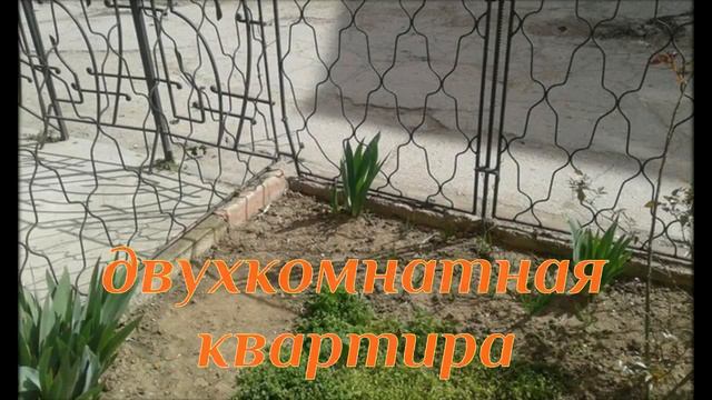 отдых в евпатории 2016 частный сектор цены без посредников недорого смотреть онлайн