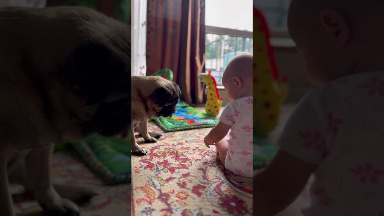 Друзья  #буднимамы #мамавдекрете #vlog
