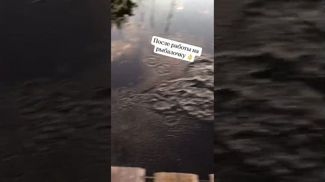 Рыбалка смотреть онлайн