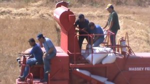 combine harvester mf 400 aradippou cyprus 10