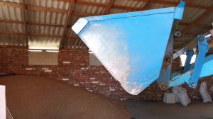 Подготовка, сортировка семенного материала озимой пшеницы Таня.