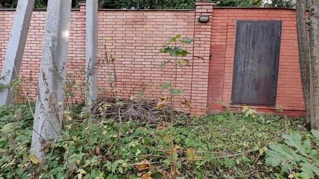 ДЫРА В ЗАБОРЕ.ПОСТРОЙКА. Наша продукция уже в Китае.