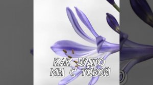 КАК БУДТО МЫ С ТОБОЙ