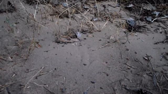 САМВЕЛ АДАМЯН ЮЛЬКА СДАЛА ГНОМИКОВ. САМВЕЛ ЗНАЕТ ЧТО МАТЬ СИДЕЛА смотреть онлайн