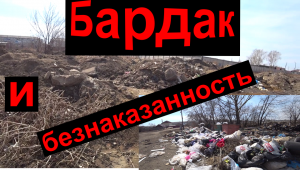 Бардак , безобразие и безнаказанность.