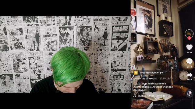 Реакт на видео в Tik Tok эстетика Темная академия / Dark Academia