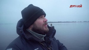 Ловля хищных рыб. Судак. Отводной на озерах и водохранилищах