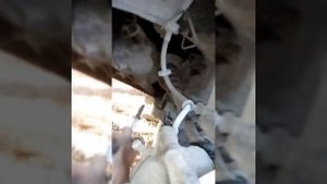 Замена сайлентблоков Вортекс корда, чери амулет