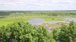 2020-06-02 Казанский храм в селе Богородское. Подъем колоколов