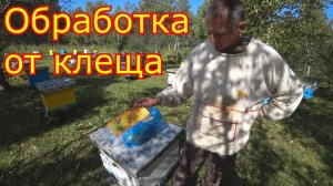 Обработка от клеща. Ставим полоски