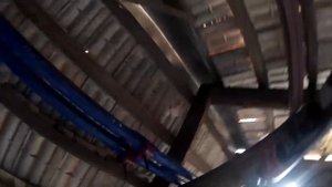 Как избавиться от ос на чердаке, быстро, просто, прикольно))