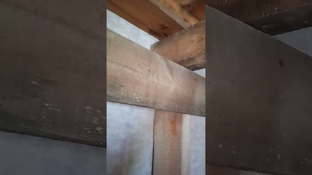 Как обеспечить подсыпку опилок при усадке в каркасную стену не увеличивая толщину стены? смотреть онлайн