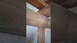 Как обеспечить подсыпку опилок при усадке в каркасную стену не увеличивая толщину стены?