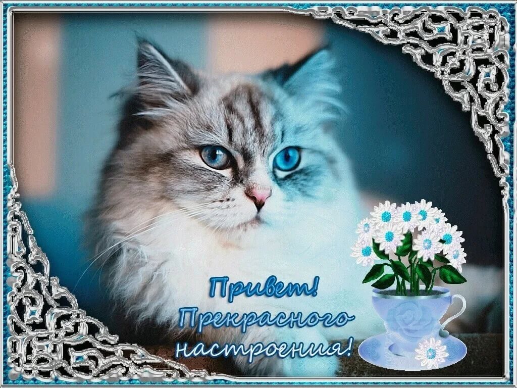 Добрый День! Пусть День Будет Тихим и Спокойным!