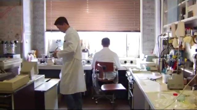 Информационно-молекулярная медицина профессора С.С.Коновалова.