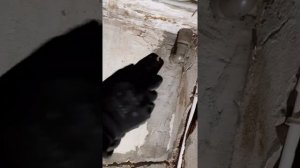 опрессовка скруток гильзами ГМЛ