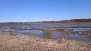Это стоит посмотреть... Разлив реки Яхрома ( пос. Луговой, Дмитровский район, М. О.)... 17.04.2022