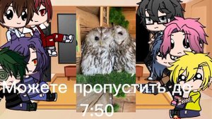Реакция 13 карт на домашних животных Т/и (2/?) ( а вот и продолжение)