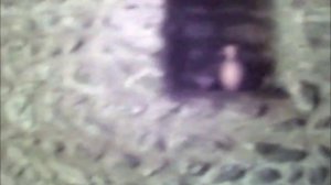 Винный погреб. Грузия. Кварели.