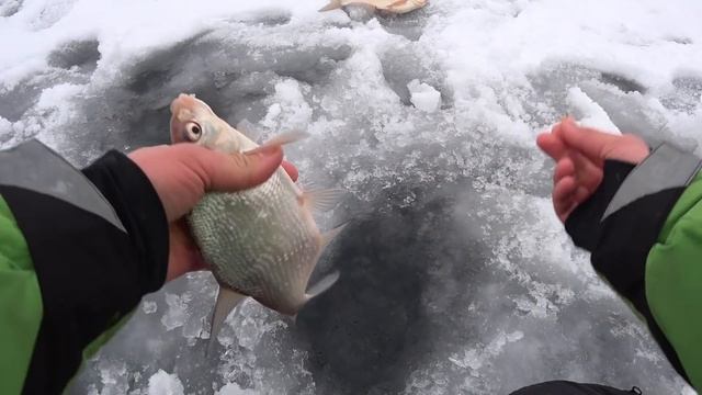 Мормыш на "Московских" водоемах. Бешенный клев леща.