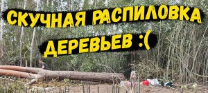 #6 Купил заброшенный участок для будущего дома/ РУТИННАЯ Работа/ 2022