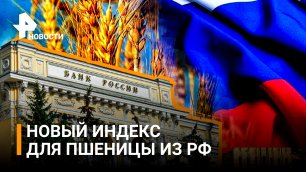 Новый биржевой индекс и фьючерс на пшеницу появится в России / РЕН Новости