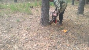 Бензопила дружба 4
