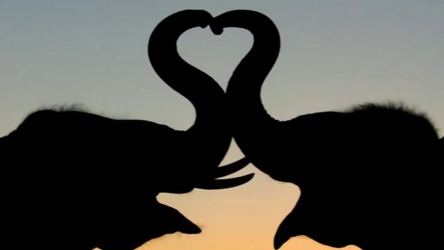 Божественная и очень душевная песня о любви смотреть онлайн