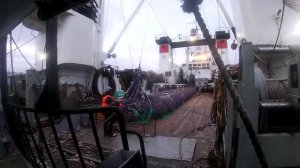 Постановка трала и заливка рыбы в бункера / 2021