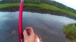 Рыбалка на болонскую удочку . Даугава.20 augusta.