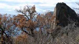 Севастополь МЫС ФИОЛЕНТ. Моржи купаются в море. Крым зимой. Яшмовый пляж. Погода в Севастополе.